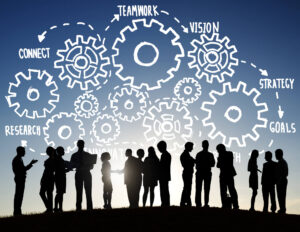 teamwork vision research